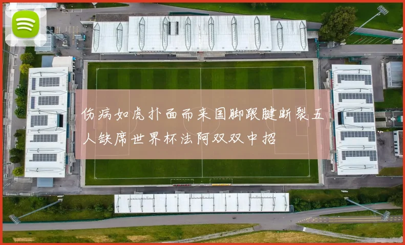 伤病如虎扑面而来国脚跟腱断裂五人缺席世界杯法阿双双中招