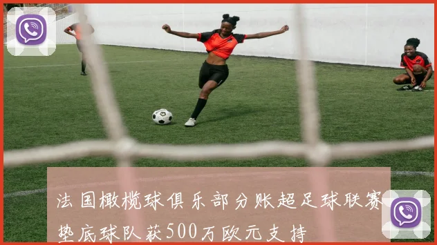 法国橄榄球俱乐部分账超足球联赛垫底球队获500万欧元支持
